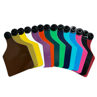 Various colorful livestock ear tags arranged in a row showcasing a range of colors including brown, yellow, white, purple, orange, green, turquoise, gold, light blue, navy blue, pink, black, and red. 