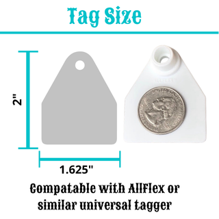 Dixie - RTS AllFlex Ear Tag