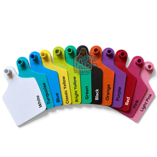 BULK MCT Full Color Show Cattle Ear Tags